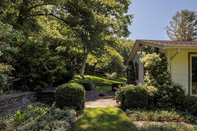 447 Butts Hollow Rd, Dover Plains, NY 12522 - view of green lawn with a patio area