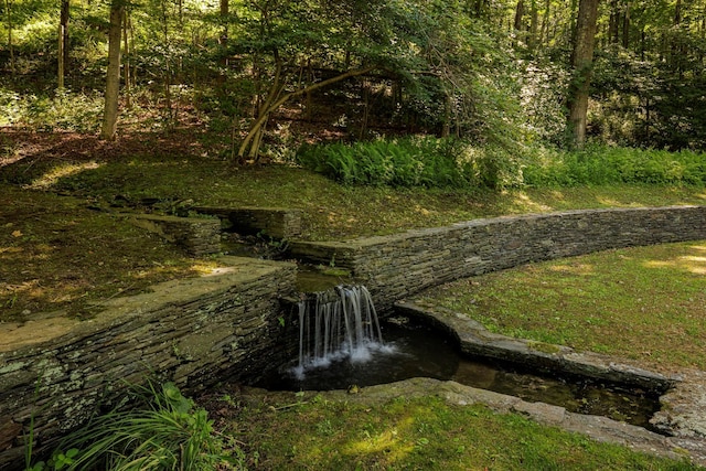 447 Butts Hollow Rd, Dover Plains, NY 12522 - view of yard