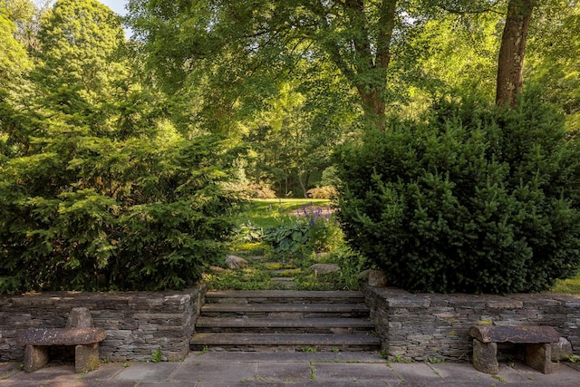 447 Butts Hollow Rd, Dover Plains, NY 12522 - view of yard