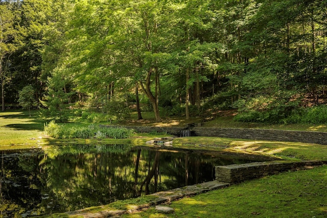 447 Butts Hollow Rd, Dover Plains, NY 12522 - view of yard featuring a water view and a forest view