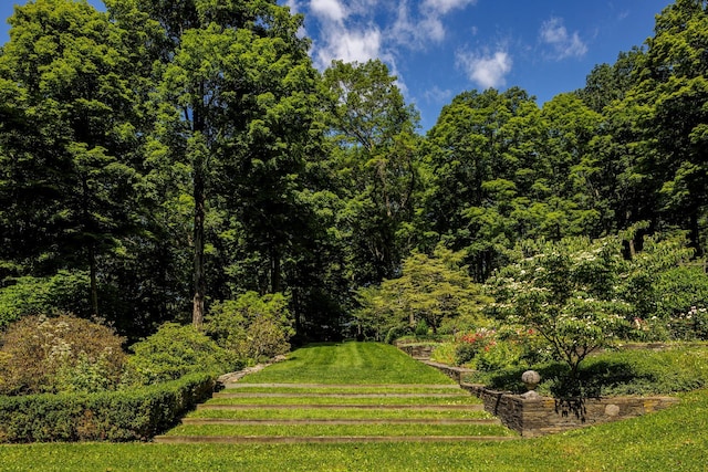447 Butts Hollow Rd, Dover Plains, NY 12522 - view of community featuring a lawn