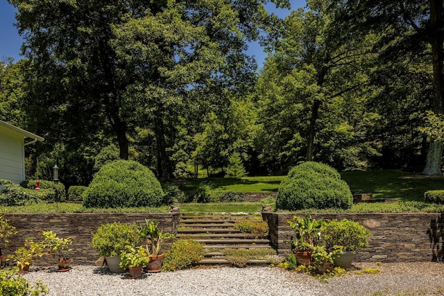 447 Butts Hollow Rd, Dover Plains, NY 12522 - view of yard