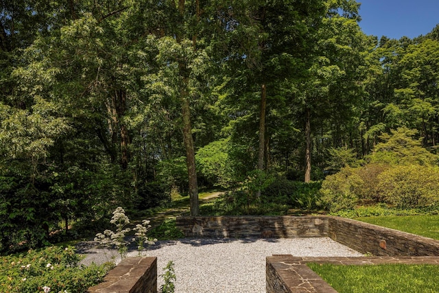 447 Butts Hollow Rd, Dover Plains, NY 12522 - view of yard with a wooded view