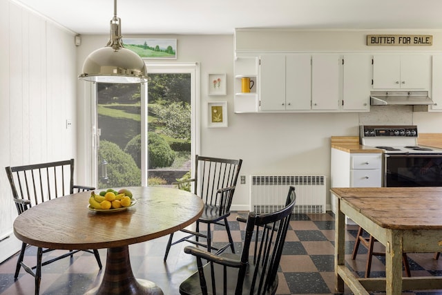 447 Butts Hollow Rd, Dover Plains, NY 12522 - dining room featuring radiator and dark flooring