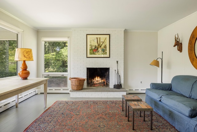 447 Butts Hollow Rd, Dover Plains, NY 12522 - living room featuring baseboard heating, wood finished floors, ornamental molding, and a fireplace