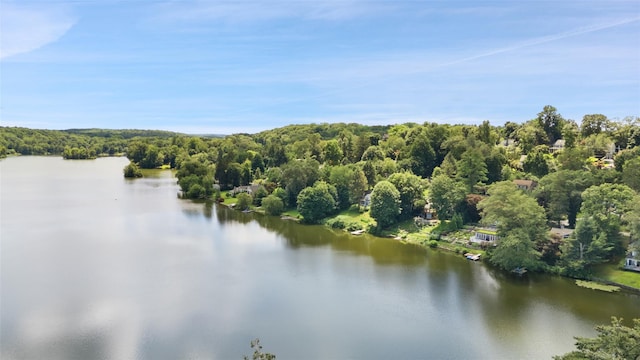38 Gilbert St, South Salem, NY 10590 - photo 34