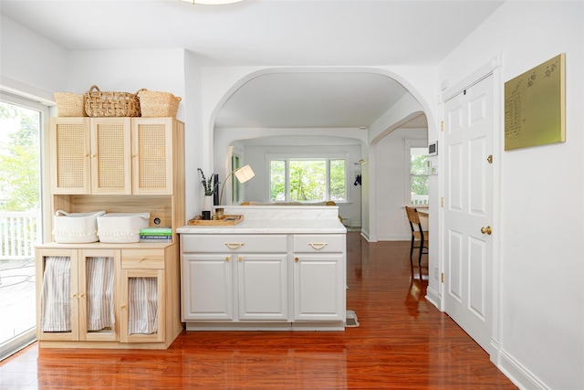 22 Tompkins Ave, Beacon, NY 12508 - kitchen with arched walkways, wood finished floors, and light countertops