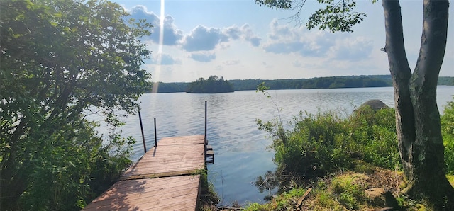 00 Kenner Ln Unit 79, South Fallsburg, NY 12779 - photo 8