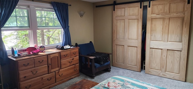 00 Kenner Ln Unit 79, South Fallsburg, NY 12779 - photo 18