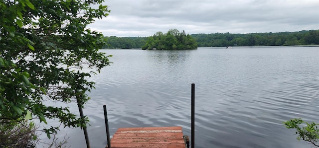 00 Kenner Ln Unit 79, South Fallsburg, NY 12779 - photo 22