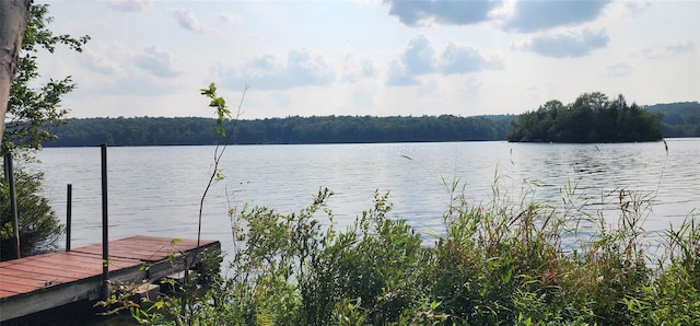 00 Kenner Ln Unit 79, South Fallsburg, NY 12779 - photo 24