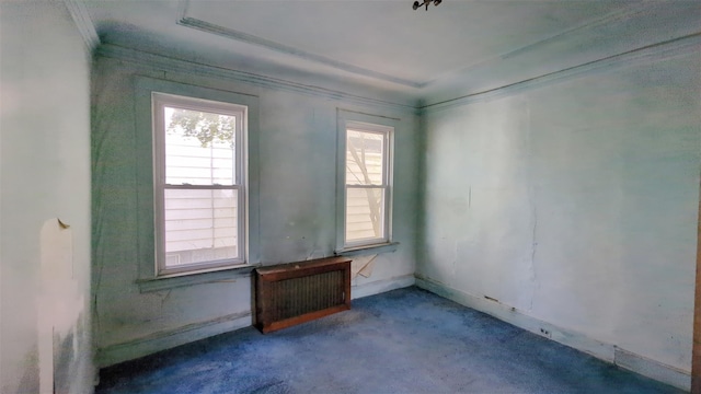 507 S 6th Ave, Mount Vernon, NY 10550 - empty room with ornamental molding and carpet