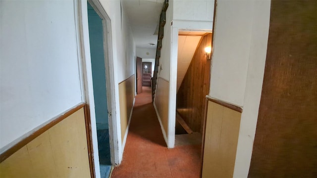 507 S 6th Ave, Mount Vernon, NY 10550 - corridor with carpet floors and a wainscoted wall