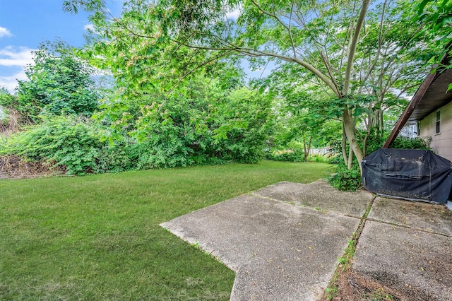 20 Bowling Ln, Deer Park, NY 11729 - view of green lawn with a patio