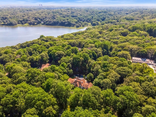9 Swan Pl, Nissequogue, NY 11780 - drone / aerial view of a forest and a large body of water