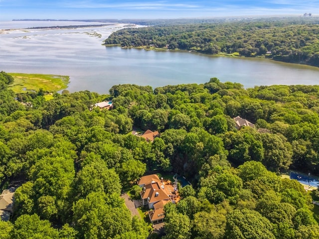 9 Swan Pl, Nissequogue, NY 11780 - bird's eye view of a large body of water