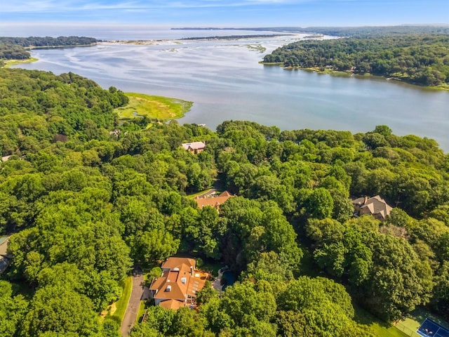 9 Swan Pl, Nissequogue, NY 11780 - aerial view of a heavily wooded area and a large body of water