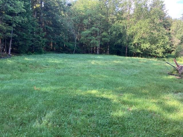 28 Cooley Mountain Rd, Parksville, NY 12768 - photo 13