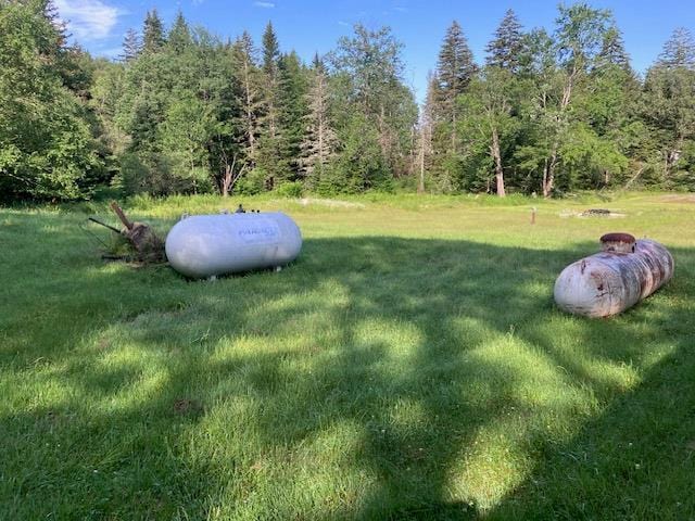 28 Cooley Mountain Rd, Parksville, NY 12768 - photo 14