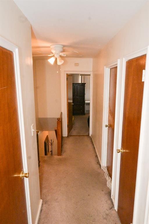 3331 Hone Ave, Bronx, NY 10469 - hall featuring light carpet