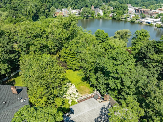 90 E Broadway, Roslyn, NY 11576 - photo 2