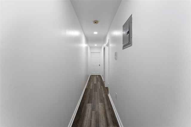 848 Morris Park Ave, Bronx, NY 10462 - photo 8