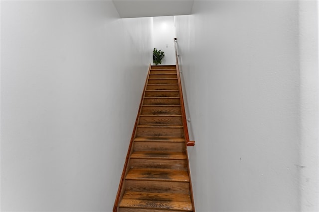 848 Morris Park Ave, Bronx, NY 10462 - photo 10