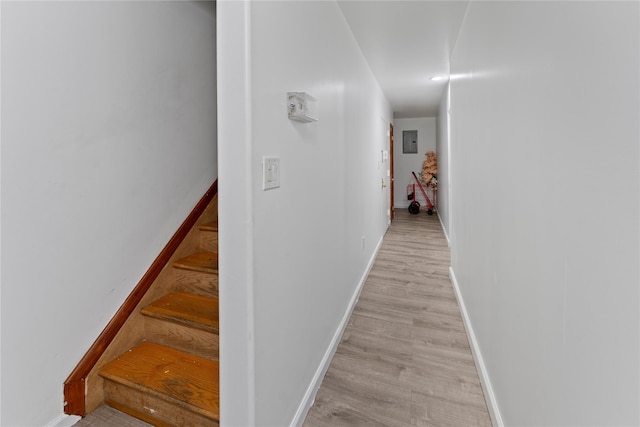 848 Morris Park Ave, Bronx, NY 10462 - photo 11