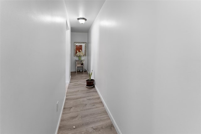 848 Morris Park Ave, Bronx, NY 10462 - photo 13
