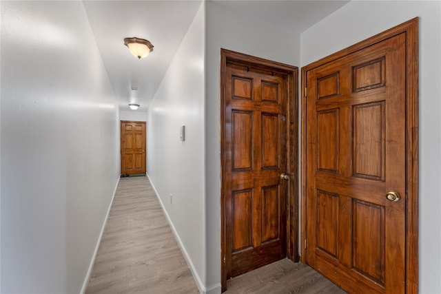 848 Morris Park Ave, Bronx, NY 10462 - photo 15