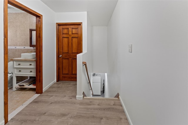 848 Morris Park Ave, Bronx, NY 10462 - photo 16