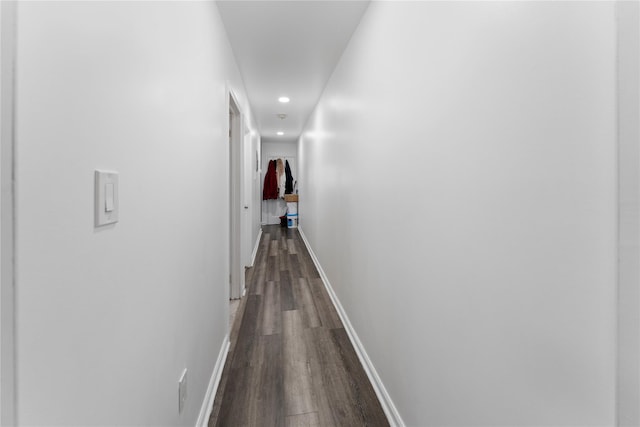 848 Morris Park Ave, Bronx, NY 10462 - photo 21