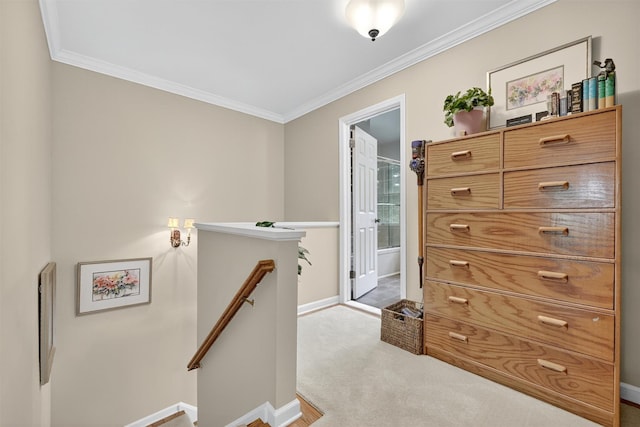 38 Middale Rd, White Plains, NY 10605 - photo 22
