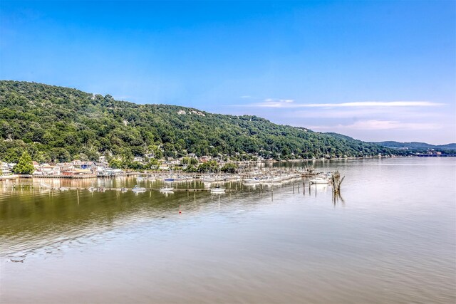 407 Harbor Cv, Piermont, NY 10968 - photo 28