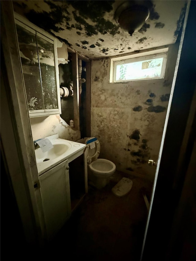 65 Mount Joy Ave, Freeport, NY 11520 - bathroom with vanity and toilet