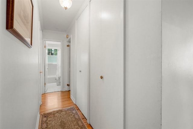 16 Ria Dr, White Plains, NY 10605 - hall with light wood-type flooring and ornamental molding