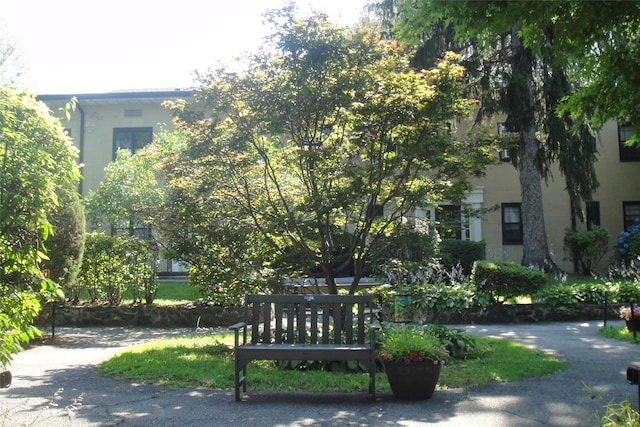 1249 California Rd Unit 2, Eastchester, NY 10709 - photo 4