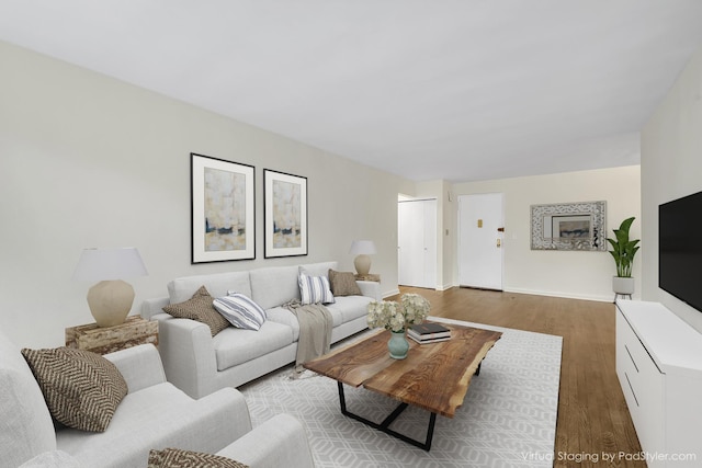 6 Birchwood Ct Unit 4G, Mineola, NY 11501 - living room with wood finished floors and baseboards