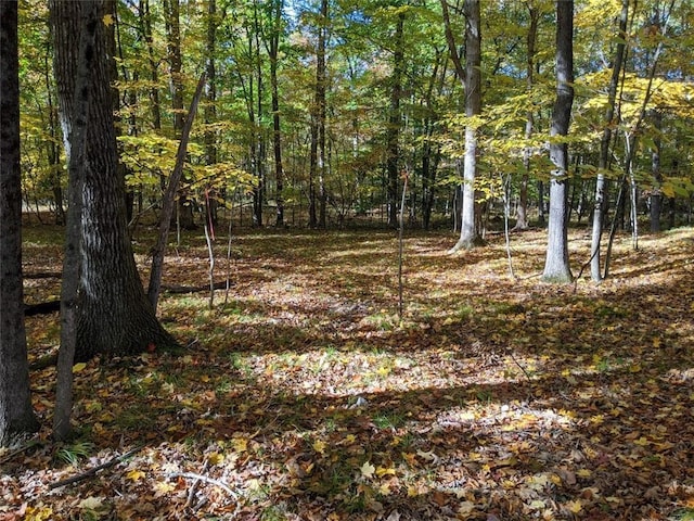 TBD Searsville Rd, Pine Bush, NY 12566 - photo 1