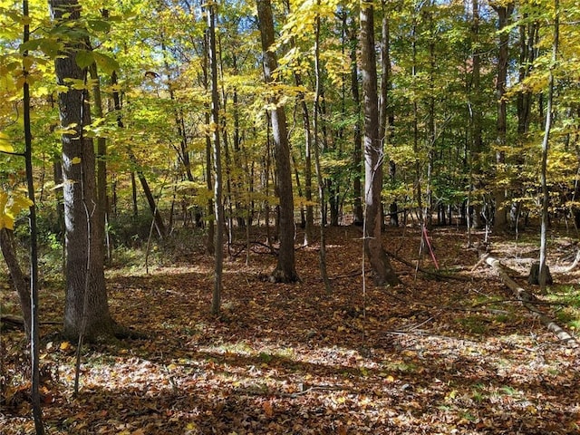 TBD Searsville Rd, Pine Bush, NY 12566 - photo 2