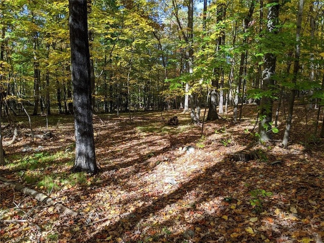 TBD Searsville Rd, Pine Bush, NY 12566 - photo 3