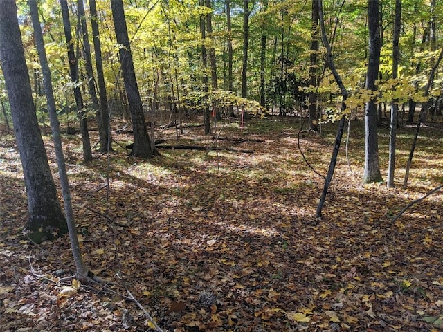TBD Searsville Rd, Pine Bush, NY 12566 - photo 4