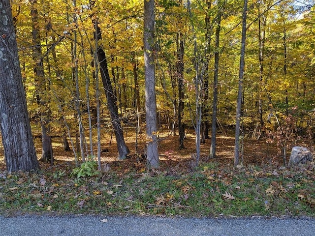 TBD Searsville Rd, Pine Bush, NY 12566 - photo 5