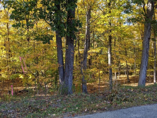 TBD Searsville Rd, Pine Bush, NY 12566 - photo 6
