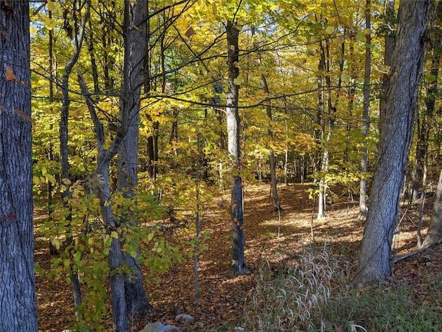 TBD Searsville Rd, Pine Bush, NY 12566 - photo 7