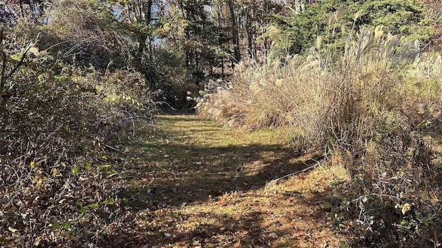 66 Ryan Rd, Pine Plains, NY 12567 - photo 3