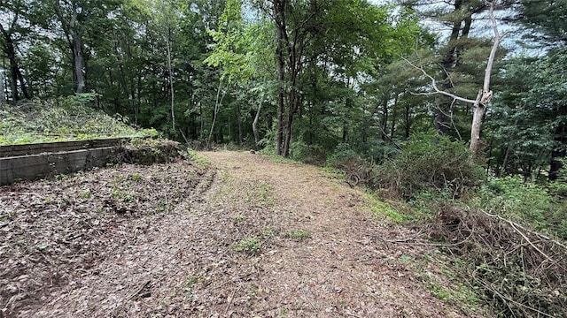 66 Ryan Rd, Pine Plains, NY 12567 - photo 5