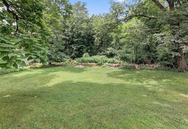 39 Frost Ln, Cornwall, NY 12518 - view of grassy yard
