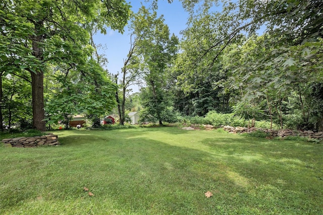 39 Frost Ln, Cornwall, NY 12518 - view of green lawn