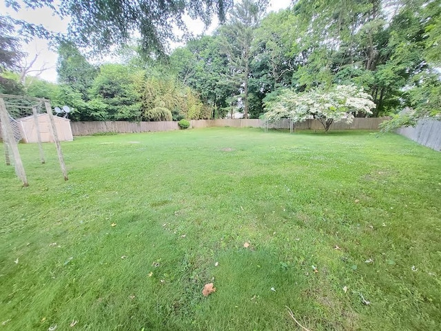 22 Prospect Ave, Brentwood, NY 11717 - view of fenced backyard